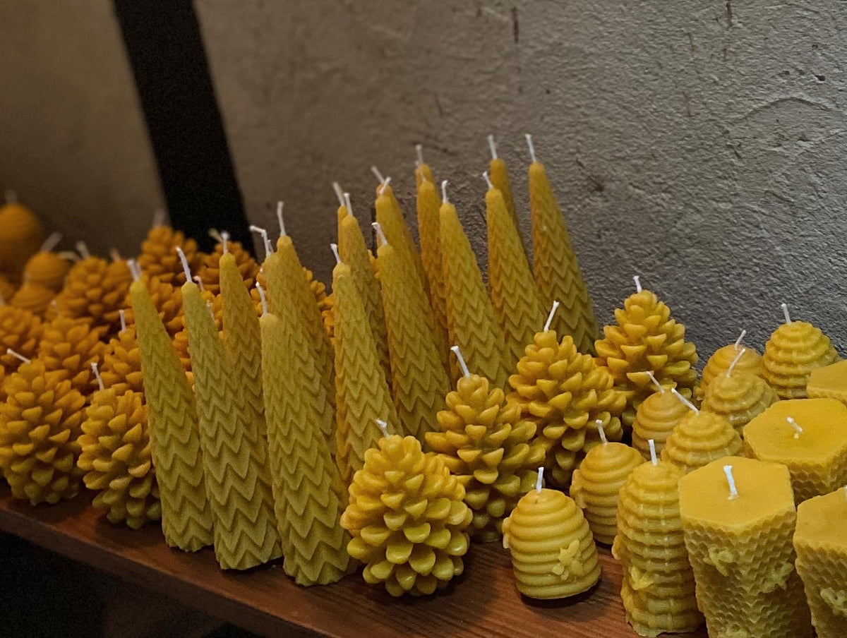 みつろうキャンドル＞蜂の巣（大） – 種田養蜂場